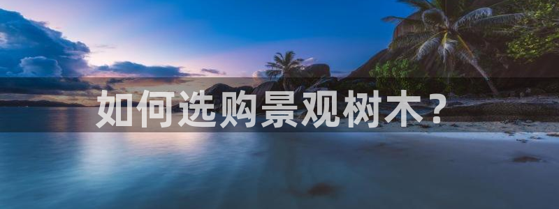 e彩娱乐 卧龙股东60447