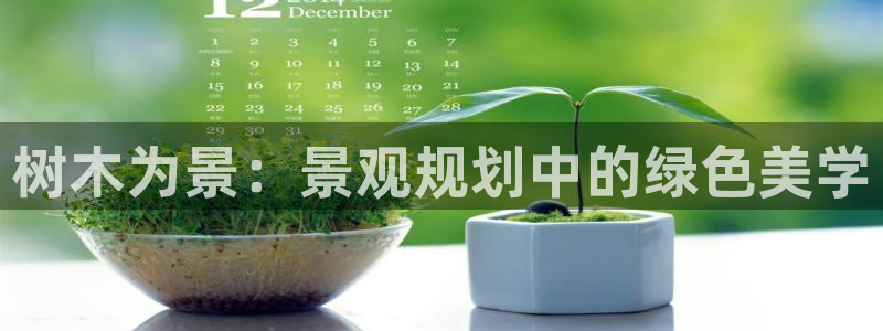 卧龙娱乐主管是谁