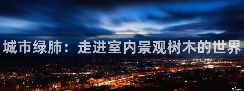 卧龙凤锄娱乐