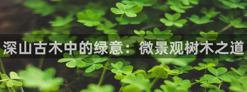 卧龙娱乐APP
