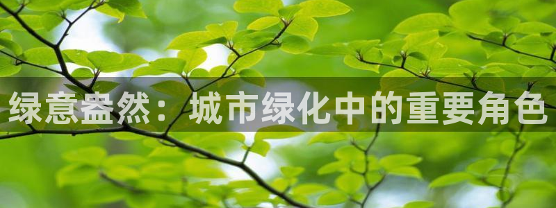 太和卧龙娱乐会所地址