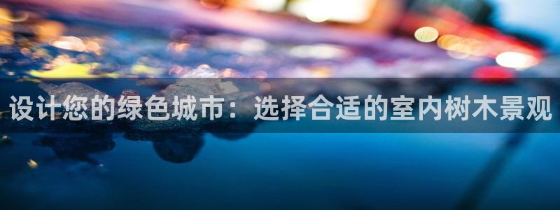 卧龙水上娱乐