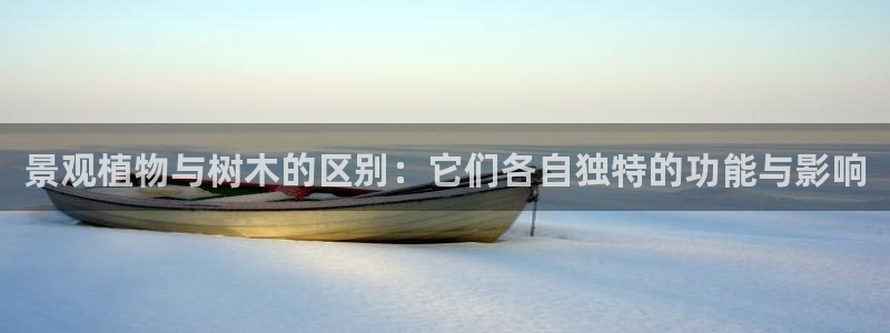 卧龙娱乐地