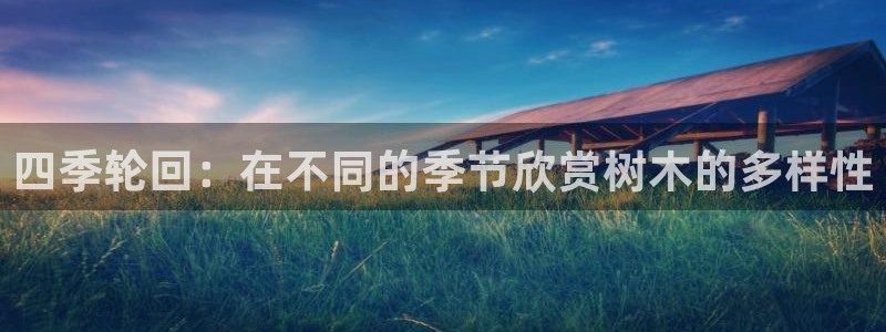 卧龙娱乐 找86555