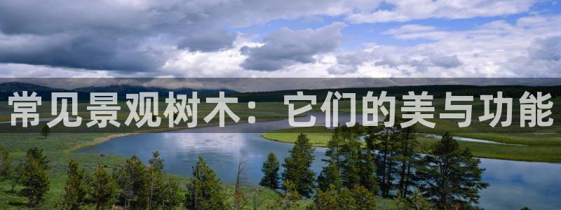 卧龙镇休闲娱乐