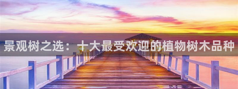 卧龙娱乐直播间