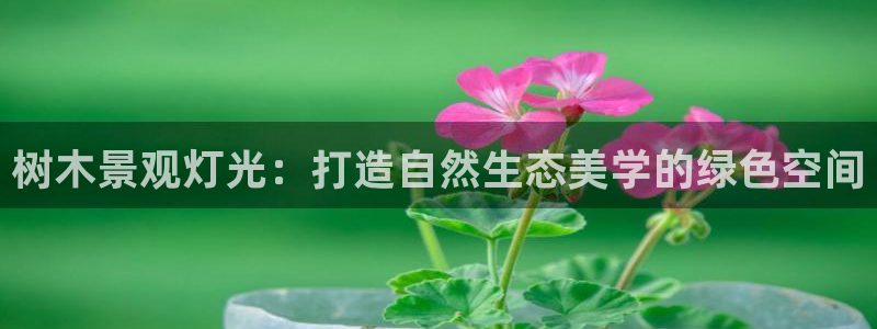 卧龙娱乐总管