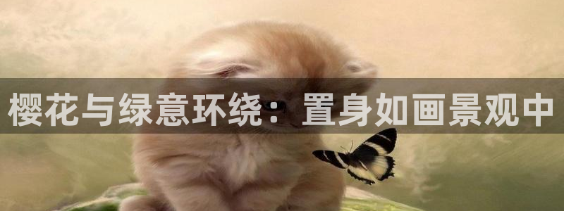 卧龙谷娱乐：樱花与绿意环绕：置身如画景观中