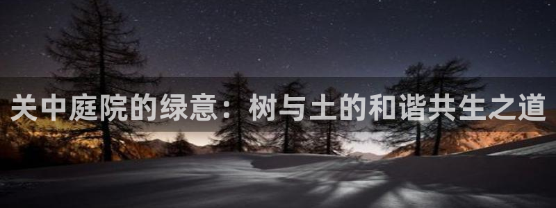 卧龙娱乐优七九九47
