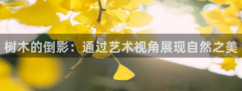 卧龙娱乐属于什么行业