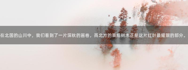 卧龙区凤凰娱乐