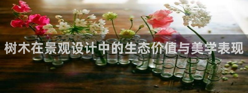 pt娱乐 卧龙招商60447