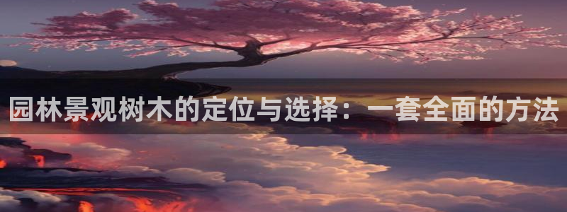 卧龙镇休闲娱乐