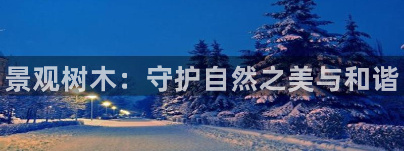 卧龙沙滩蹦床娱乐