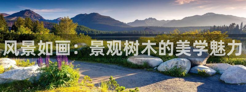 wow卧龙娱乐集团：风景如画：景观树木的美学魅力