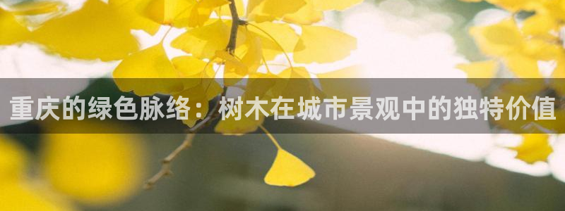 卧龙娱乐官网首页