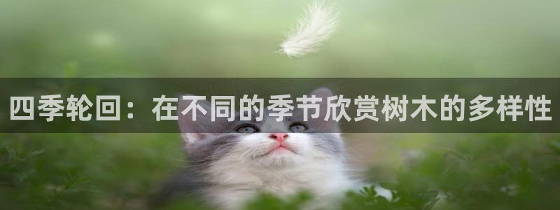 卧龙名都娱乐会所