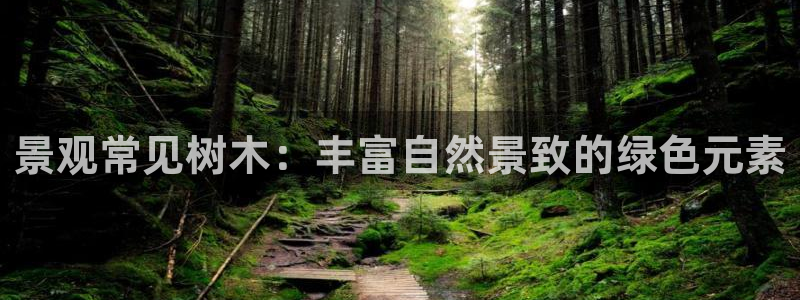 卧龙娱乐滴qv382223