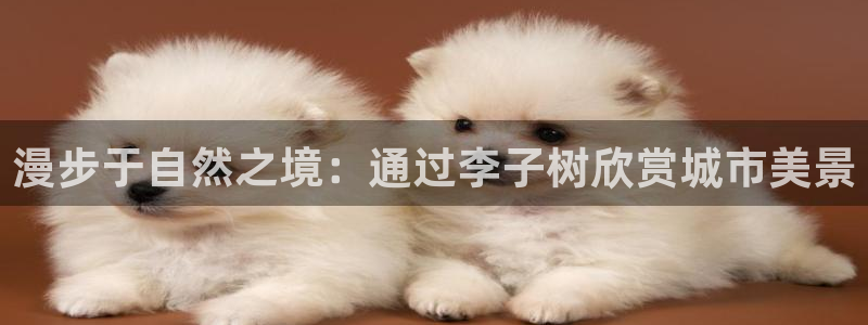 卧龙娱乐地：漫步于自然之境：通过李子树欣赏城市美景