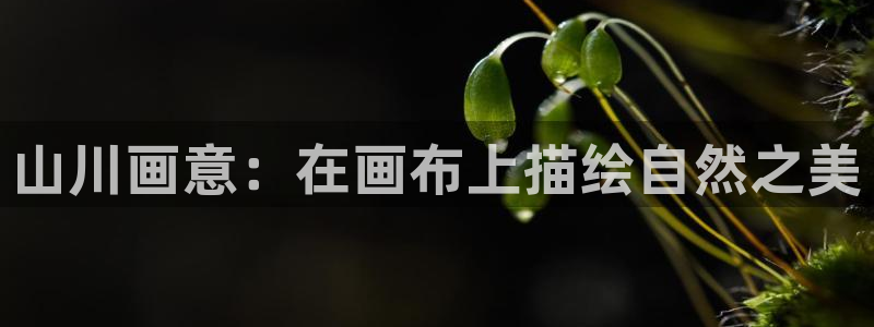 卧龙娱乐app彩票中奖：山川画意：在画布上描绘自然之美