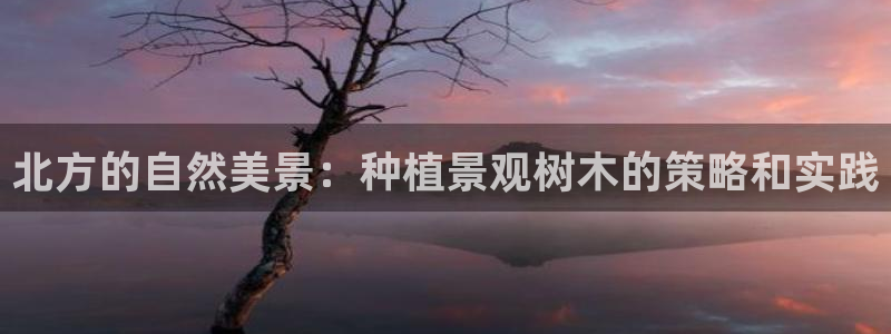 卧龙凤雏娱乐收入