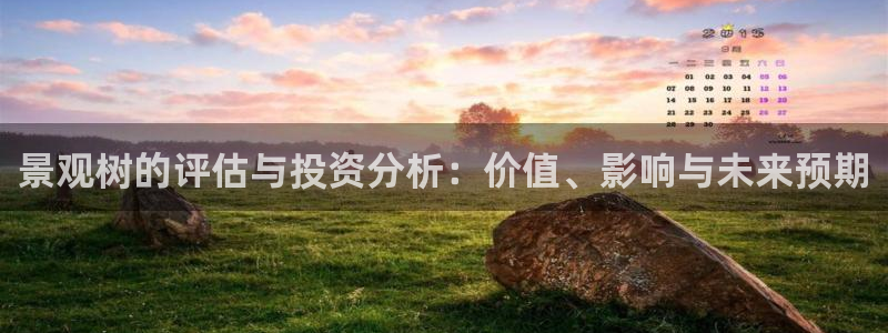 PT娱乐卧龙招商60447：景观树的评估与投资分析：价值、影响与未来预期