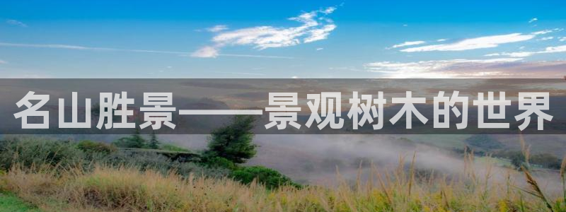 卧龙娱乐彩票兑奖中心