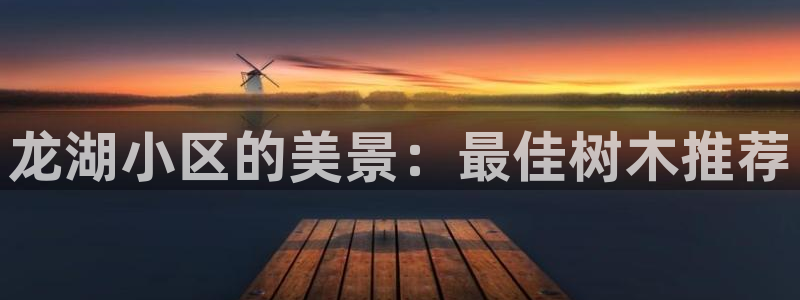 卧龙娱乐主管是谁呀