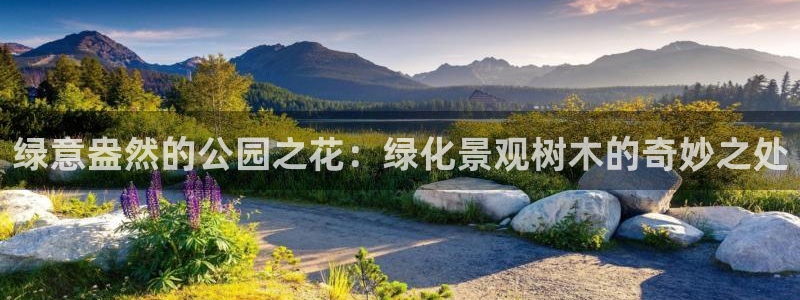 卧龙娱乐怎么样