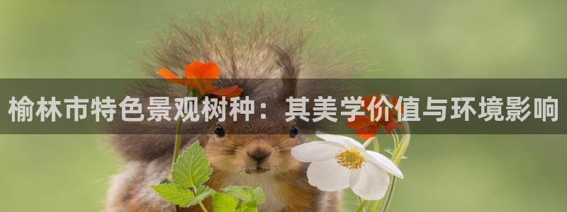 南阳卧龙站到尊上娱乐：榆林市特色景观树种：其美学价值与环境影响