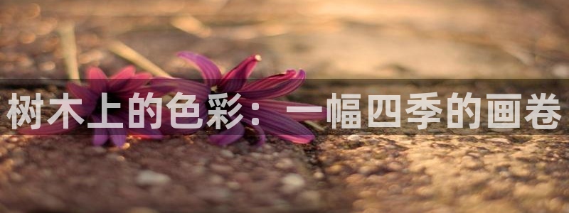 卧龙传统娱乐团购