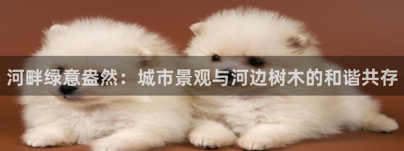 卧龙牧原娱乐设施