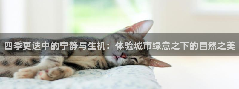 西安卧龙娱乐播报：四季更迭中的宁静与生机：体验城市绿意之下的自然之美