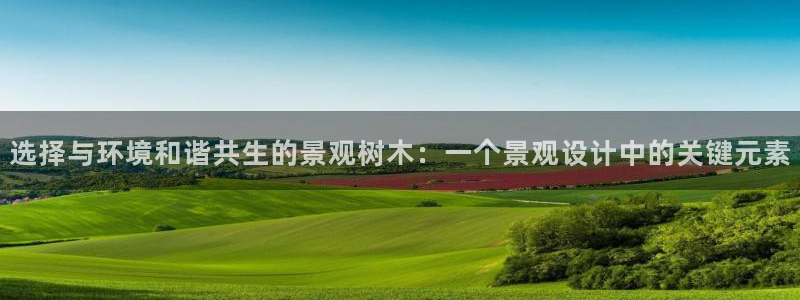 卧龙娱乐招商主管：选择与环境和谐共生的景观树木：一个景观设计中的关键元素