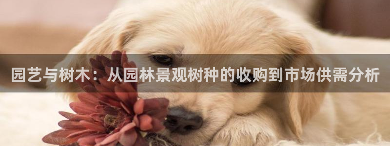 卧龙凤雏娱乐直播:园艺与树木:从园林景观树种的收购到市场供需分析