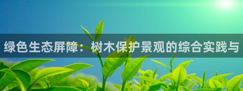 南阳卧龙娱乐会所：绿色生态屏障：树木保护景观的综合实践与
