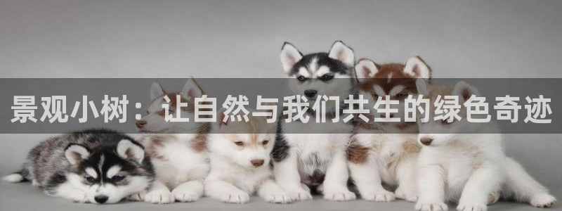 卧龙娱乐彩票兑奖中心