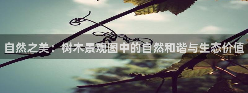 卧龙凤雏娱乐直播