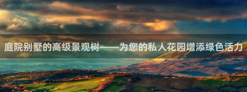 hr娱乐 扣卧龙60447:庭院别墅的高级景观树——为您的私人花园增添绿色活力